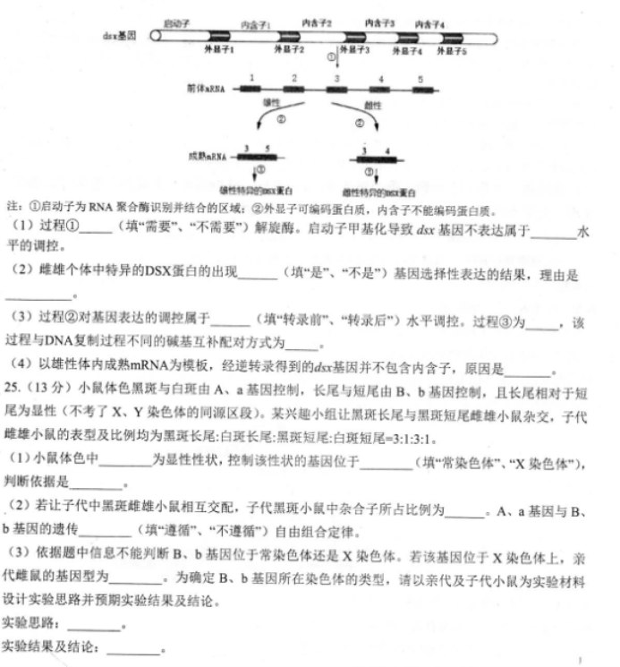 山东2024高三年级适应性联考(一)生物试题及答案解析