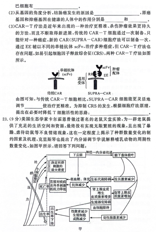 湘豫名校2024高三11月一轮复习诊断二生物试题及答案解析