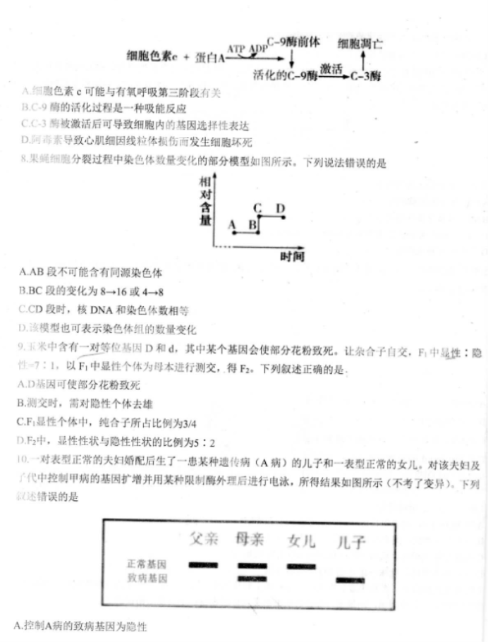 山东2024高三年级适应性联考(一)生物试题及答案解析