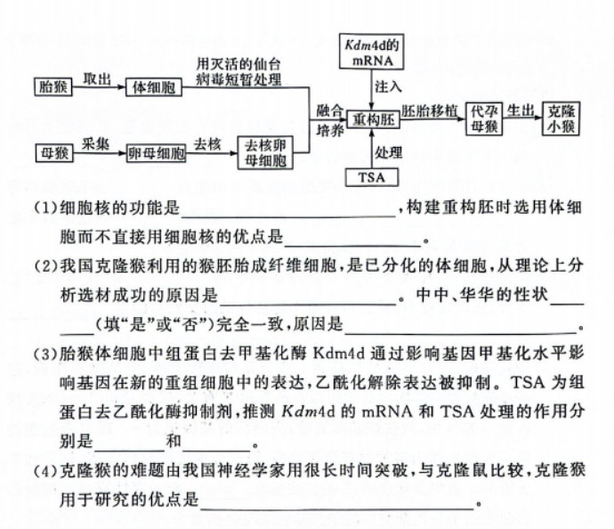 湘豫名校2024高三11月一轮复习诊断二生物试题及答案解析