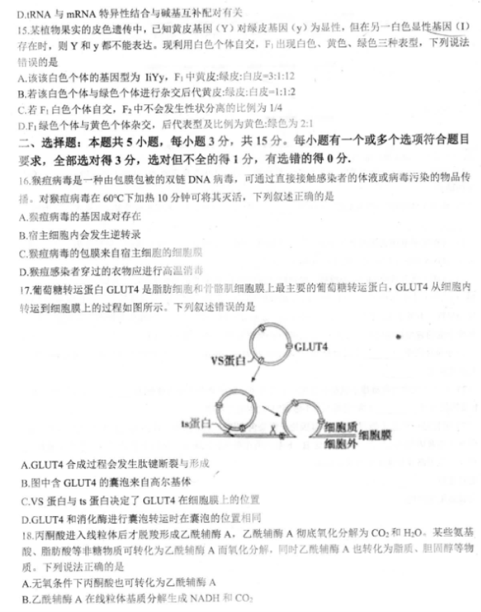 山东2024高三年级适应性联考(一)生物试题及答案解析