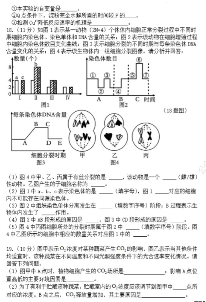 甘肃兰州教育局四片区2024高三期中联考生物试题及答案