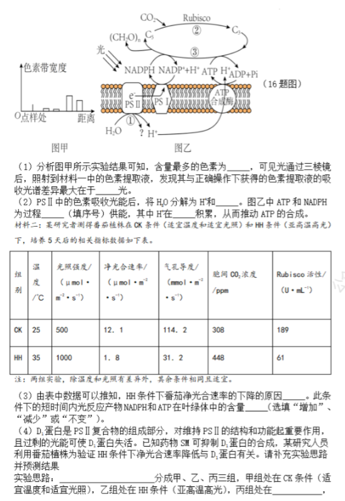 甘肃兰州教育局四片区2024高三期中联考生物试题及答案