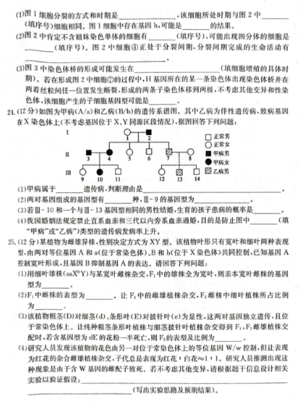 齐齐哈尔普高联谊校2024高三期中考试生物试题及答案解析