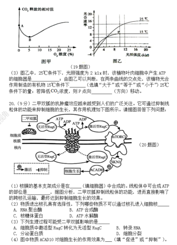 甘肃兰州教育局四片区2024高三期中联考生物试题及答案