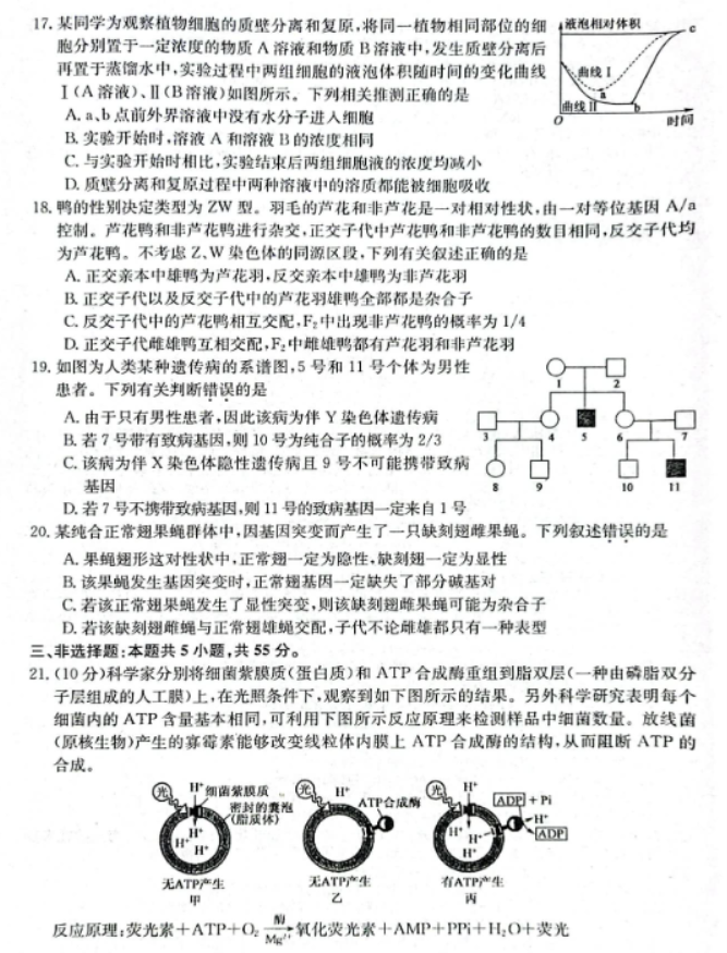 齐齐哈尔普高联谊校2024高三期中考试生物试题及答案解析