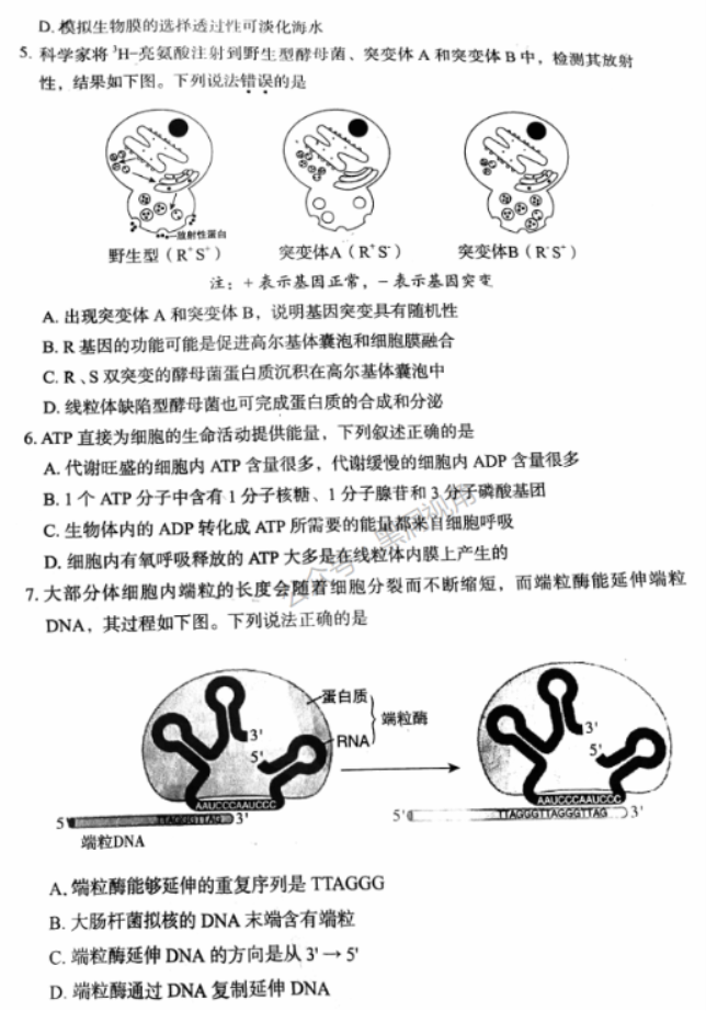 北京市丰台区2024高三11月期中考试生物试题及答案解析