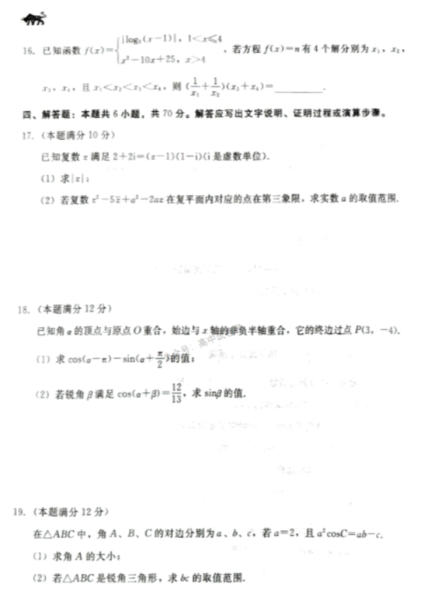 河北新时代NT教育2024高三11月阶段性测试数学试题及答案