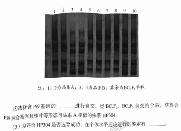 北京市丰台区2024高三11月期中考试生物试题及答案解析