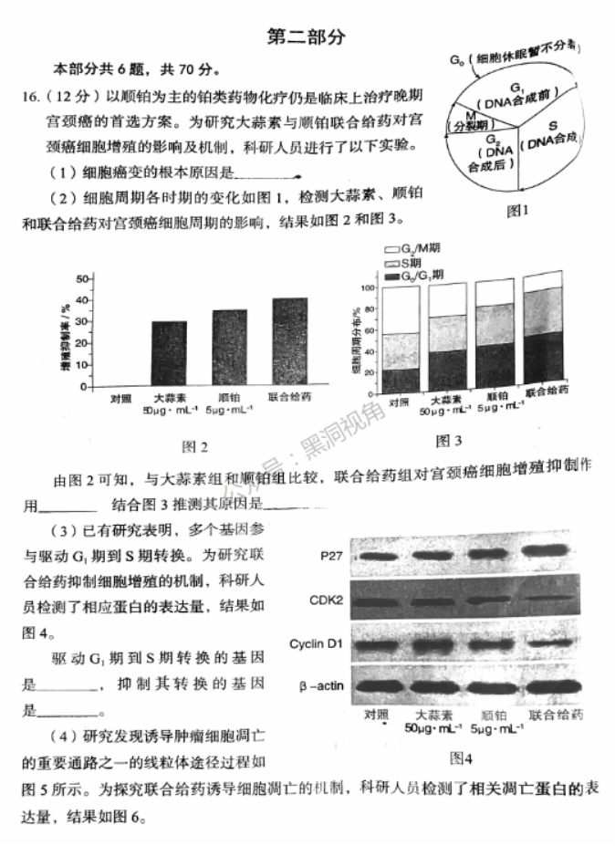 北京市丰台区2024高三11月期中考试生物试题及答案解析