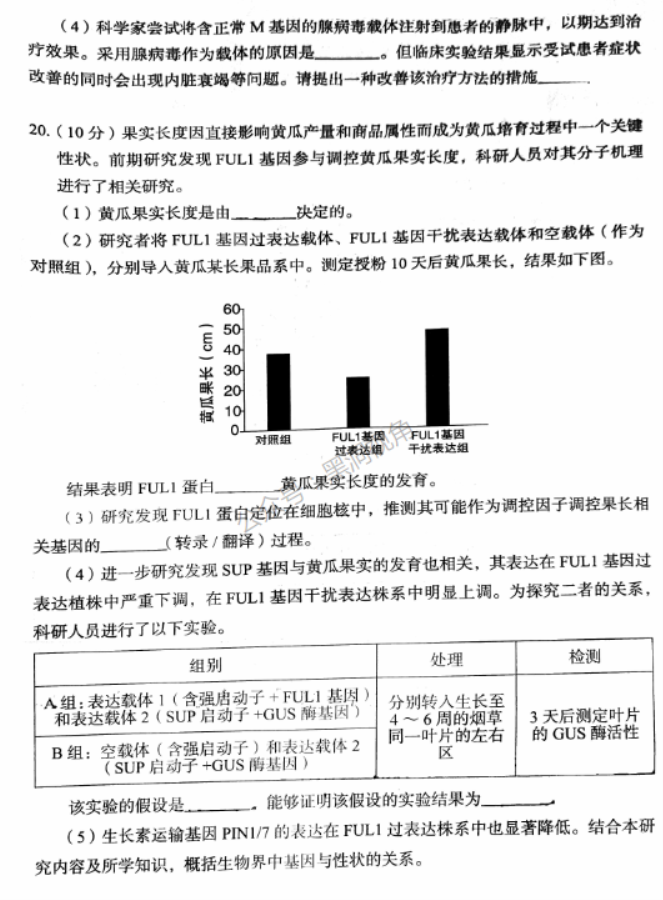 北京市丰台区2024高三11月期中考试生物试题及答案解析