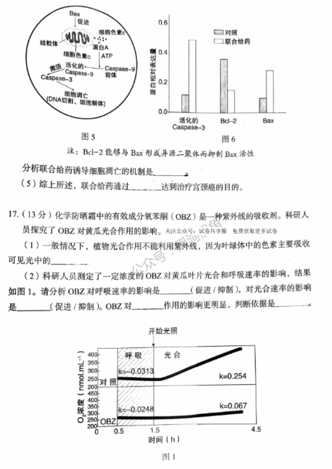 北京市丰台区2024高三11月期中考试生物试题及答案解析