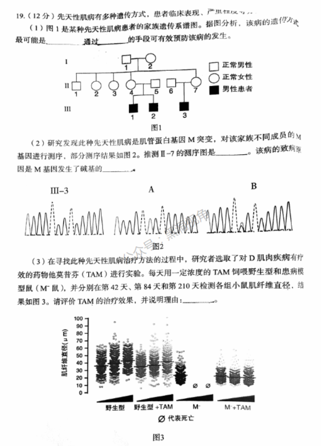 北京市丰台区2024高三11月期中考试生物试题及答案解析