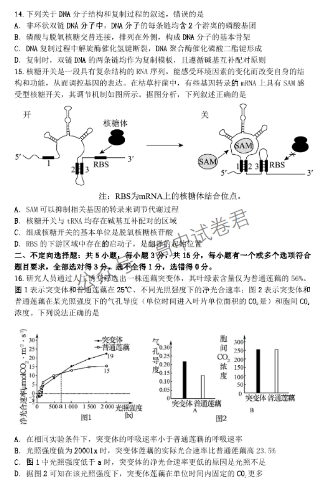 辽宁丹东市2024高三11月阶段测试生物试题及答案解析