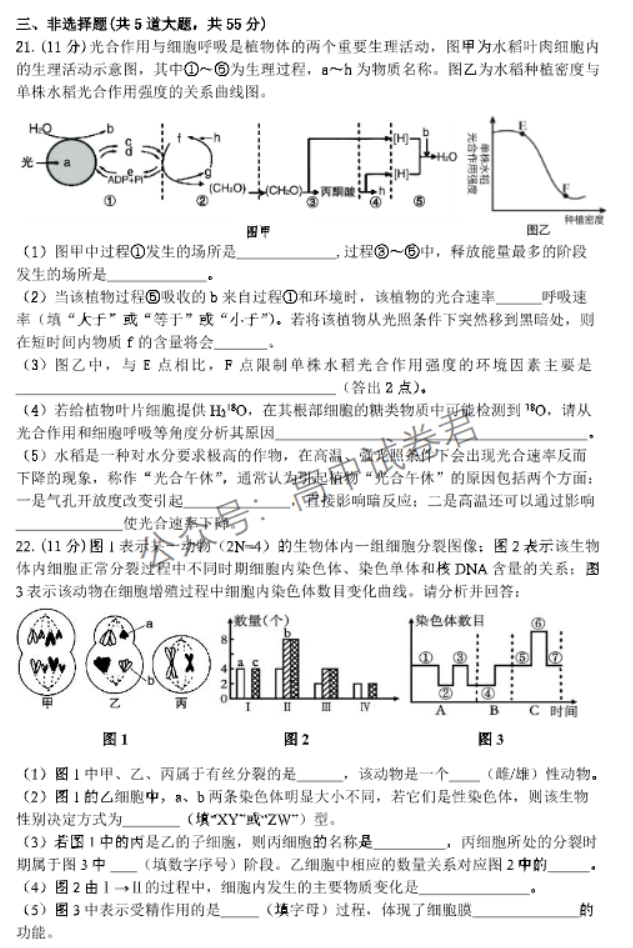 辽宁丹东市2024高三11月阶段测试生物试题及答案解析