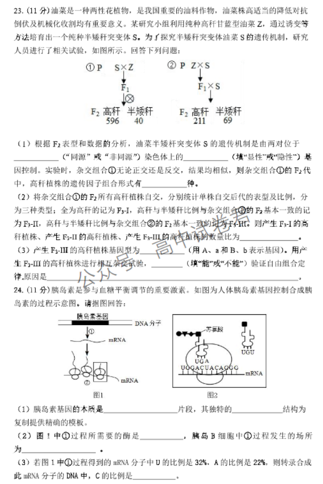 辽宁丹东市2024高三11月阶段测试生物试题及答案解析