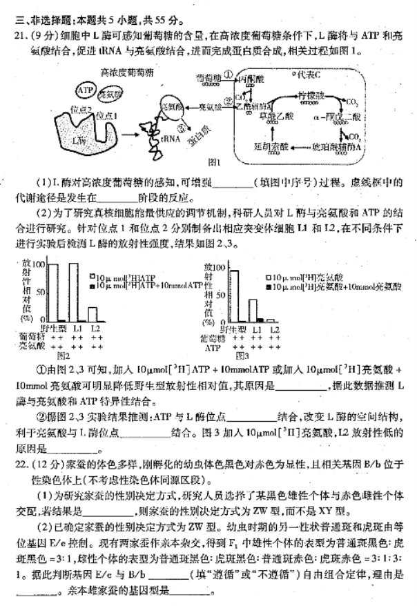 山东烟台2024高三11月期中考试生物试题及答案解析