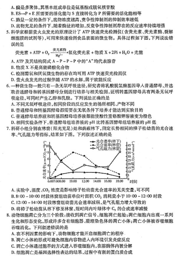 山东烟台2024高三11月期中考试生物试题及答案解析