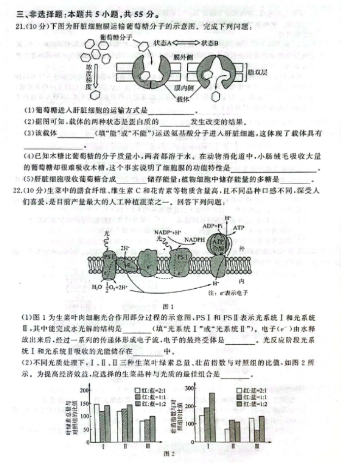 辽宁县级高中协作体2024高三11月期中生物试题及答案解析