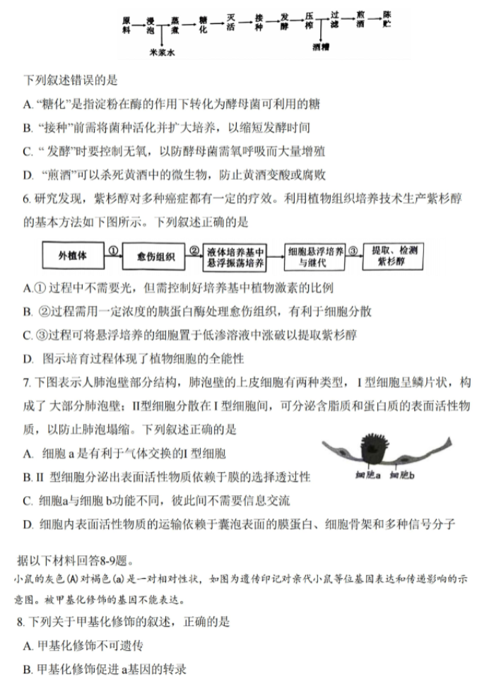 浙江绍兴2024高三上学期一模考试生物试题及答案解析