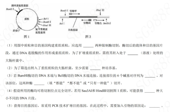 江苏淮安2024高三期中考前训练生物试题及答案解析