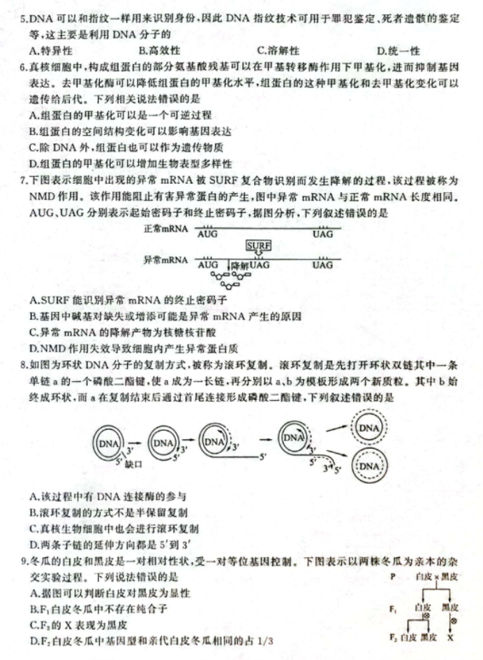 辽宁县级高中协作体2024高三11月期中生物试题及答案解析