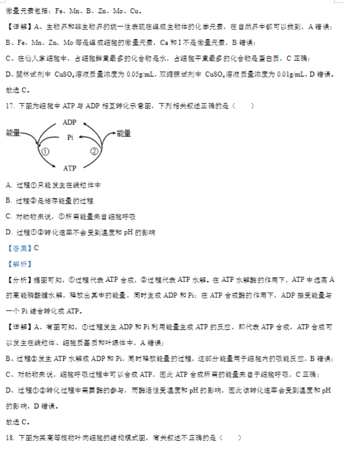 甘肃武威凉州区2024高三11月三诊考试生物试题及答案解析