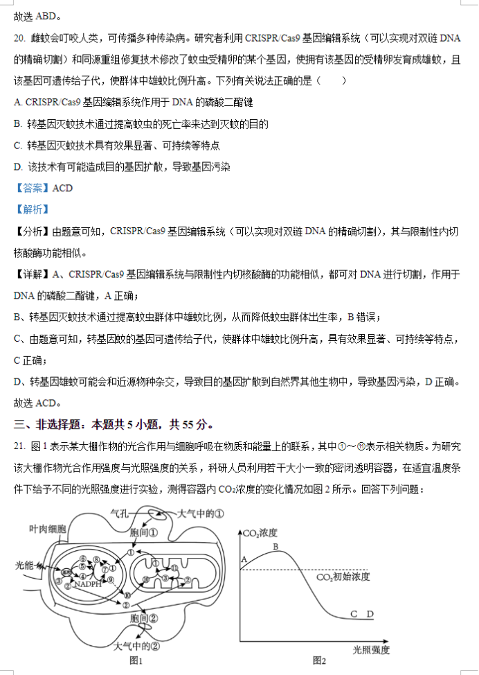 辽宁朝阳地区金太阳2024高三11月期中生物试题及答案解析