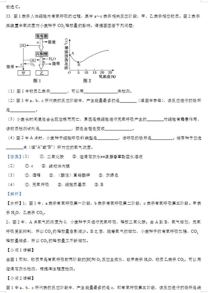 甘肃武威凉州区2024高三11月三诊考试生物试题及答案解析