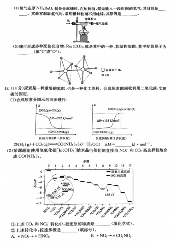 辽宁朝阳地区金太阳2024高三11月期中化学试题及答案解析