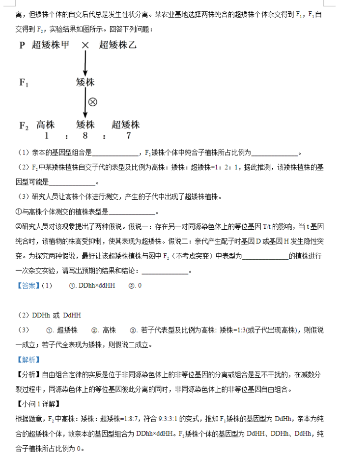 辽宁朝阳地区金太阳2024高三11月期中生物试题及答案解析