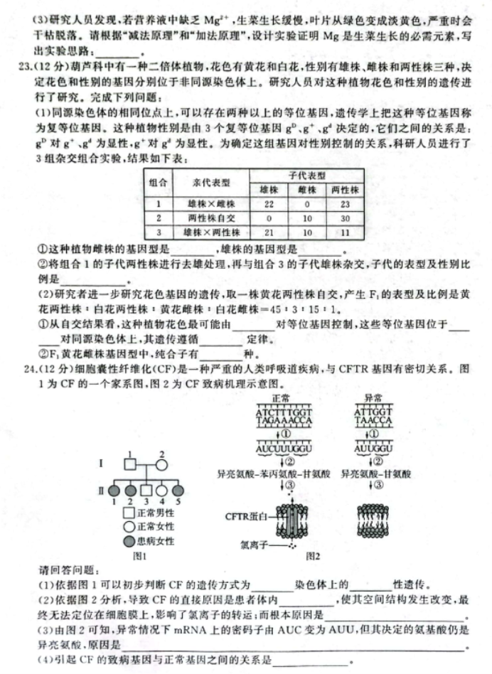 辽宁县级高中协作体2024高三11月期中生物试题及答案解析