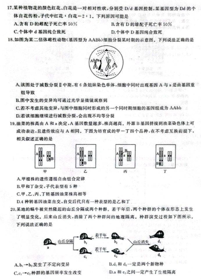 辽宁县级高中协作体2024高三11月期中生物试题及答案解析