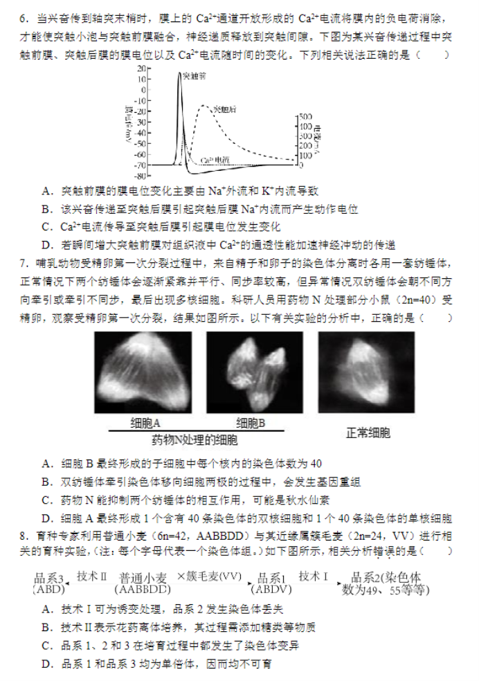 江苏省苏州四市五区2024高三期中考试生物试题及答案解析