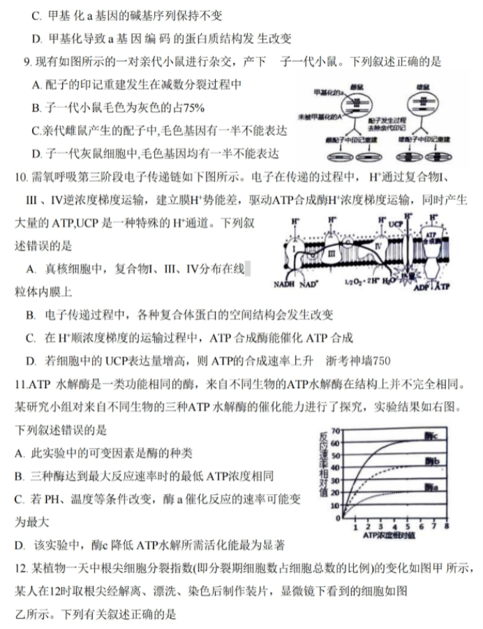 浙江绍兴2024高三上学期一模考试生物试题及答案解析