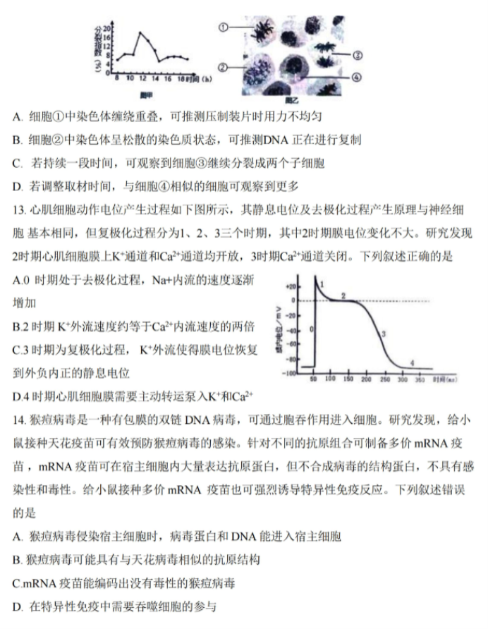 浙江绍兴2024高三上学期一模考试生物试题及答案解析