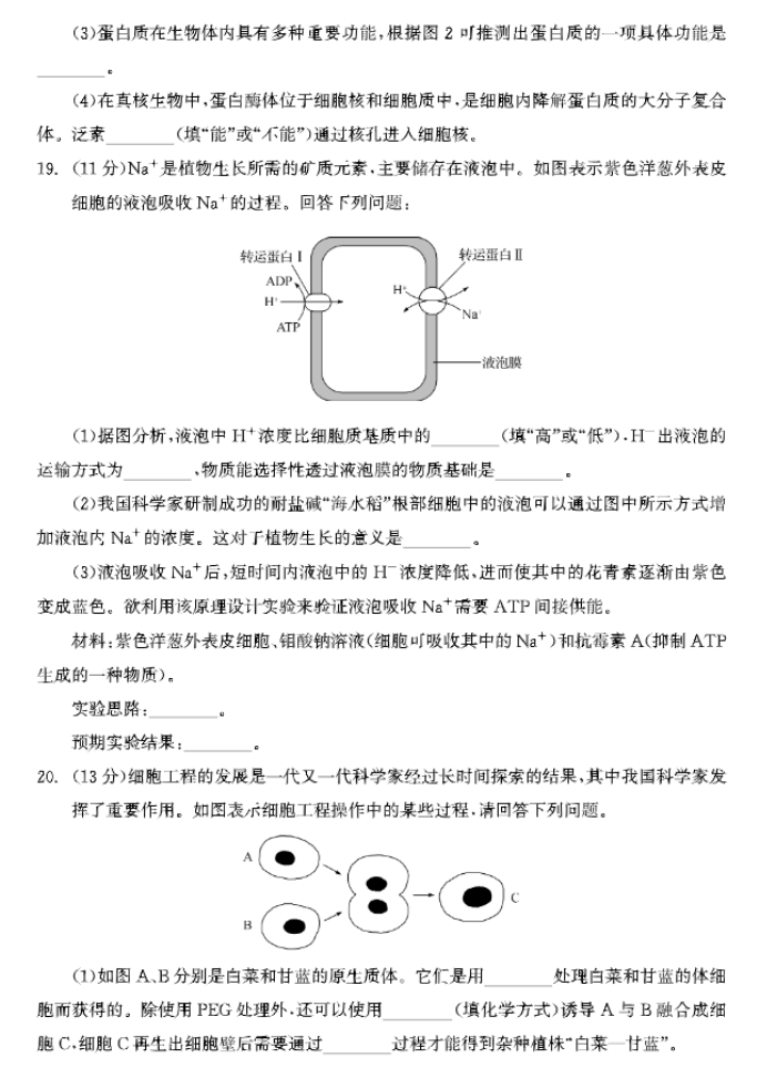 河北衡中同卷2024高三上学期一调考试生物试题及答案解析