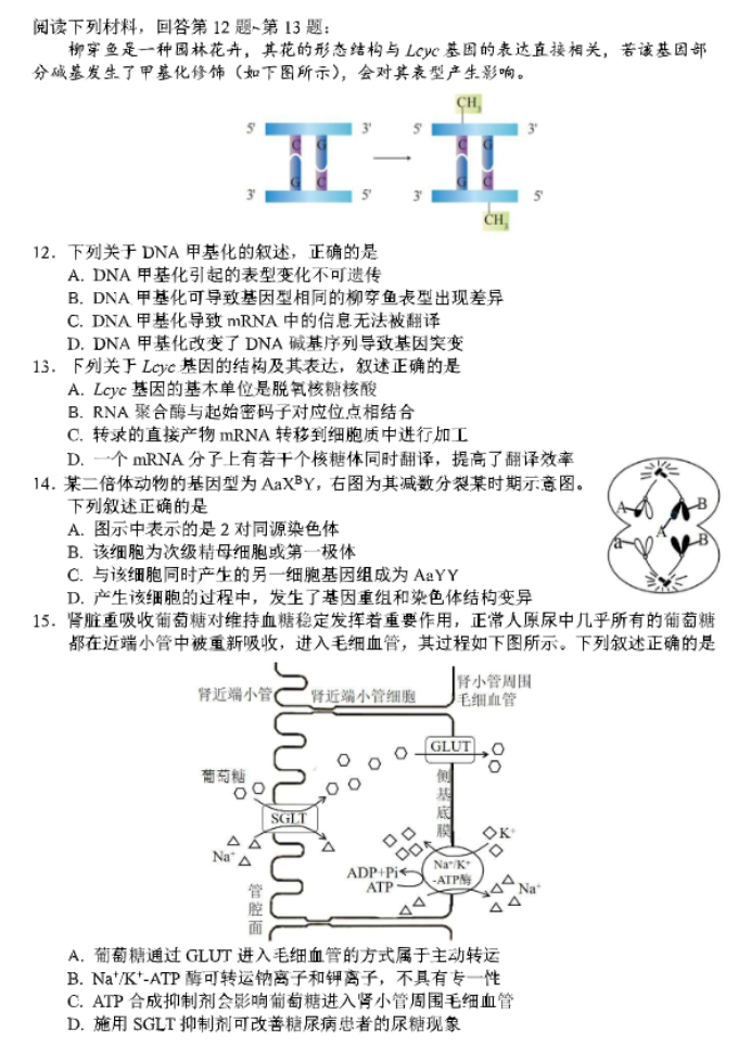 浙江省湖丽衢2024高三11月一模考试生物试题及答案解析