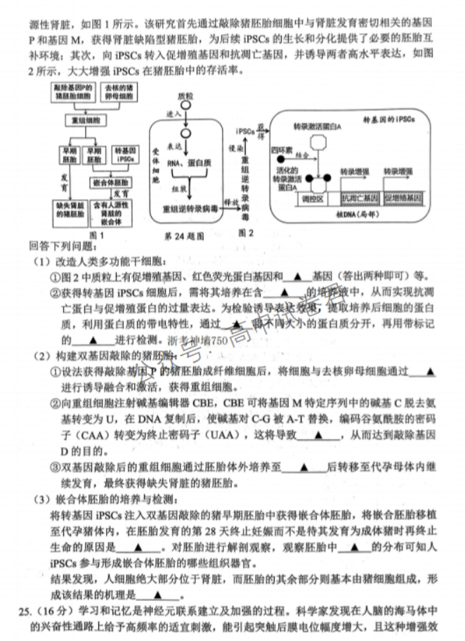 浙江宁波2024高三11月一模考试生物试题及答案解析