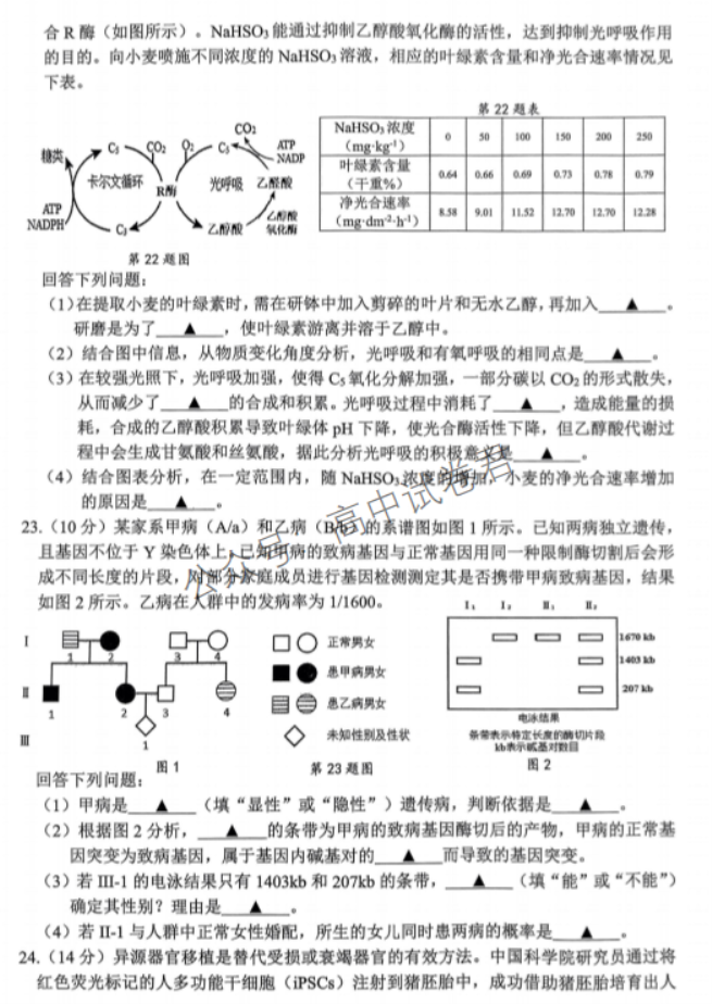 浙江宁波2024高三11月一模考试生物试题及答案解析