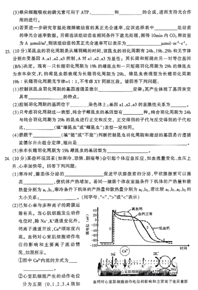 浙江金华十校2024高三11月一模考试生物试题及答案解析