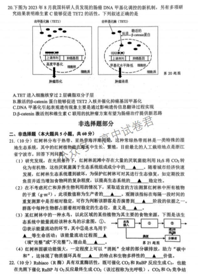 浙江宁波2024高三11月一模考试生物试题及答案解析