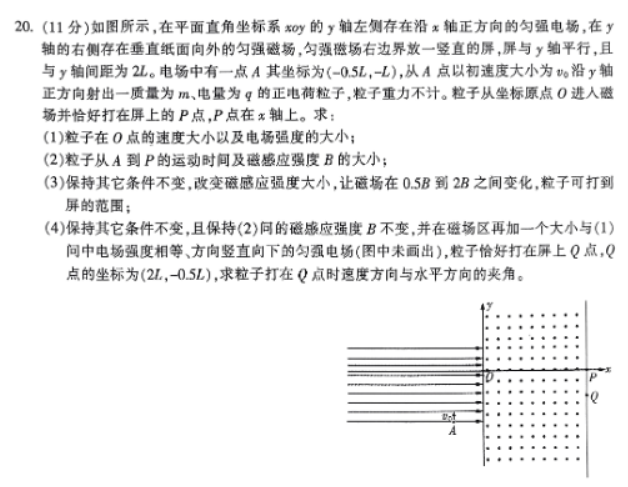 浙江金华十校2024高三11月一模考试物理试题及答案解析