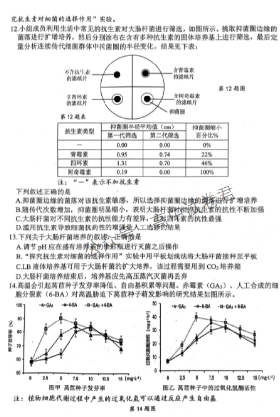 浙江宁波2024高三11月一模考试生物试题及答案解析