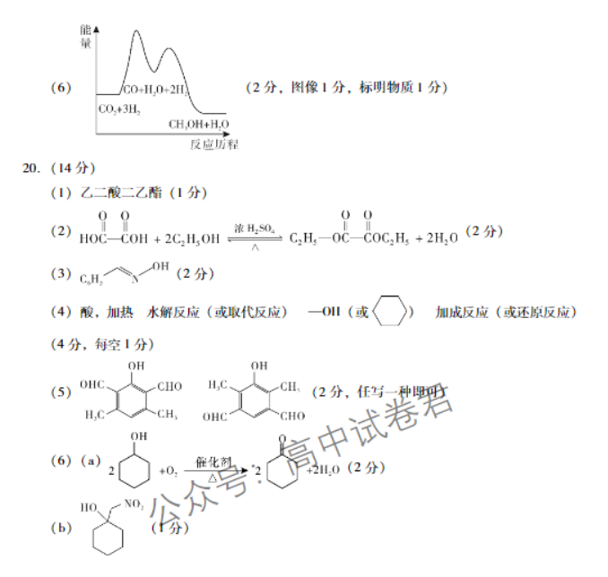 广东肇庆2024高三上学期一模考试化学试题及答案解析