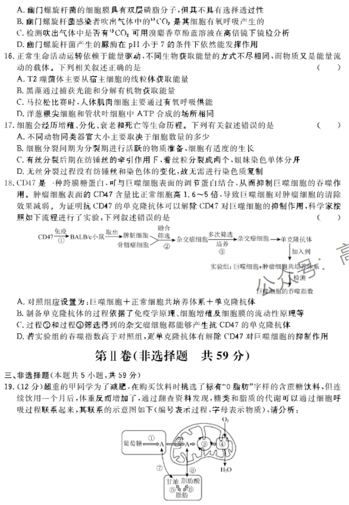 河北邢台部分高中2024高三11月期中考生物试题及答案解析