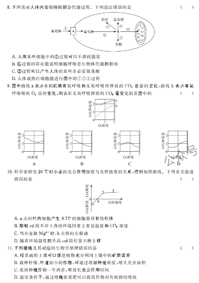 河北邢台部分高中2024高三11月期中考生物试题及答案解析