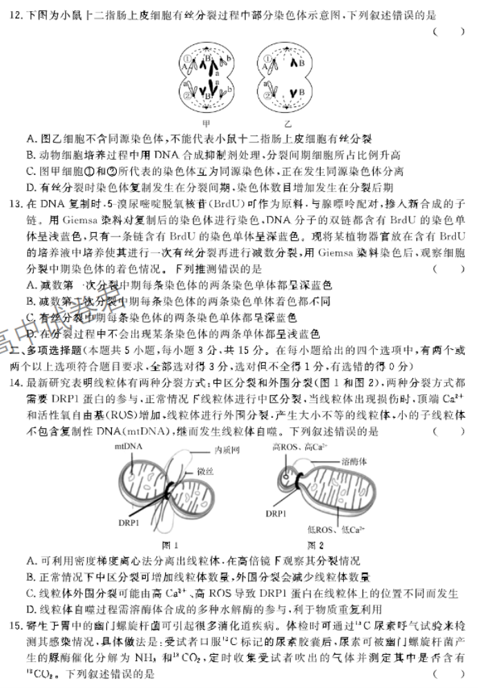 河北邢台部分高中2024高三11月期中考生物试题及答案解析