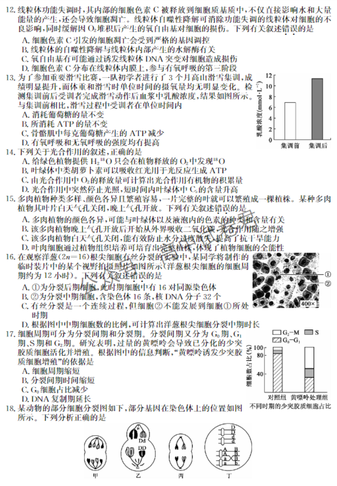 黑龙江省龙东五地市2024高三期中考试生物试题及答案解析