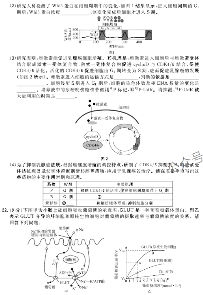 河北邢台部分高中2024高三11月期中考生物试题及答案解析